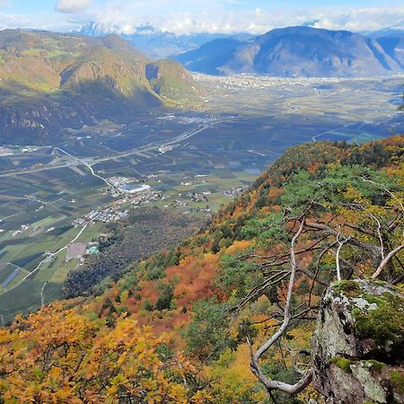 Tinnerhof Appiano Sulla Strada Del Vino Εξωτερικό φωτογραφία