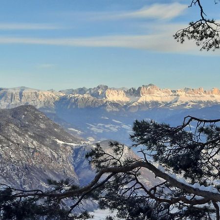 Tinnerhof Appiano Sulla Strada Del Vino Εξωτερικό φωτογραφία