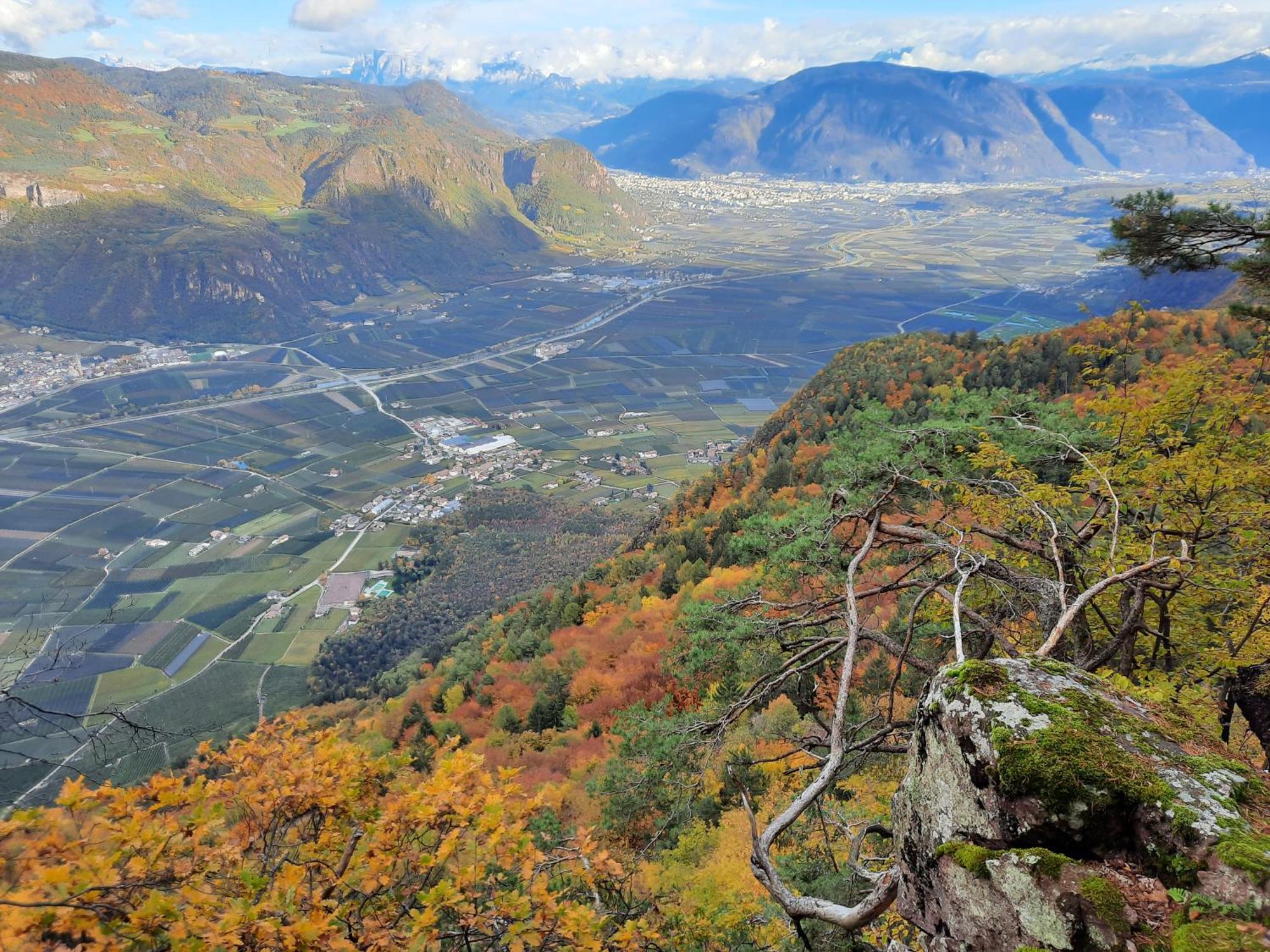 Tinnerhof Appiano Sulla Strada Del Vino Εξωτερικό φωτογραφία