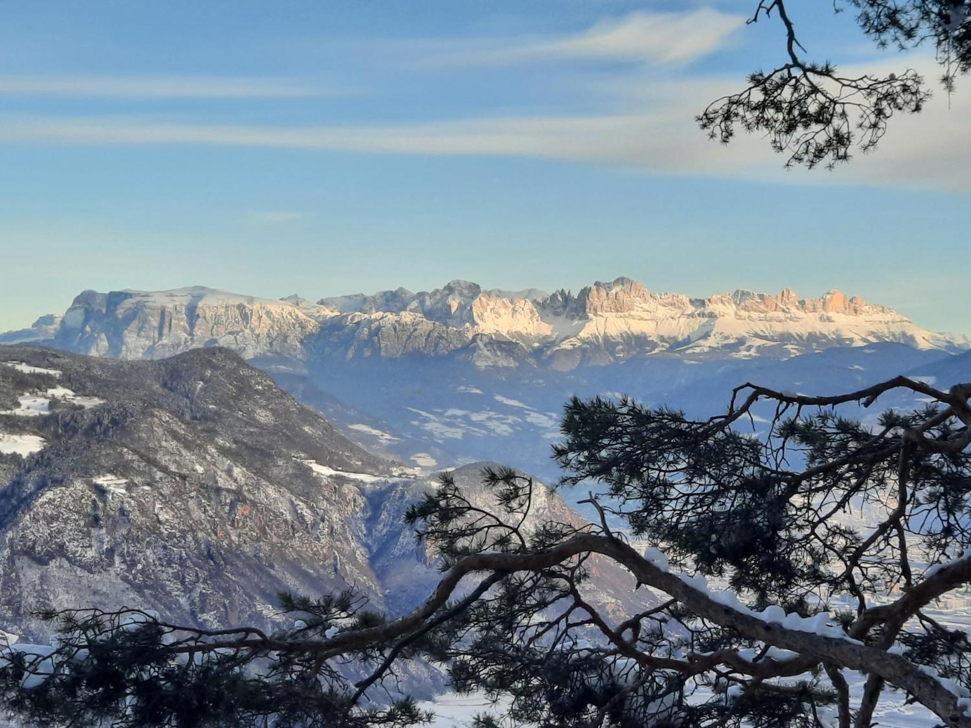 Tinnerhof Appiano Sulla Strada Del Vino Εξωτερικό φωτογραφία