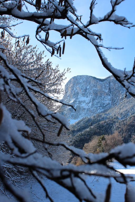 Tinnerhof Appiano Sulla Strada Del Vino Εξωτερικό φωτογραφία
