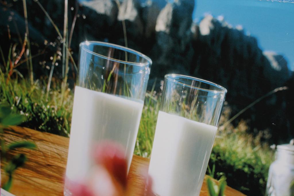 Tinnerhof Appiano Sulla Strada Del Vino Εξωτερικό φωτογραφία