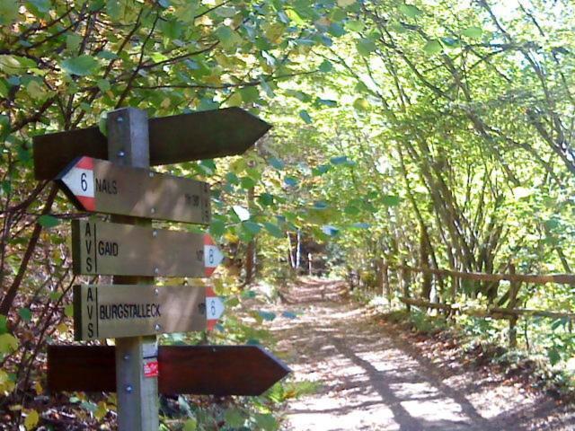 Tinnerhof Appiano Sulla Strada Del Vino Εξωτερικό φωτογραφία